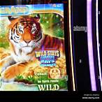 tiger th slot
